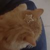 ur_wony.mum