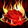 user410842780