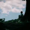 nicoisanidiot