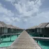 S H E R A Z