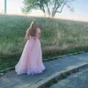 mae_va2606