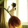 annanerum96