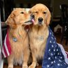 Blu & Benny