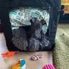 gulliktheiggy