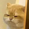 bethuzn