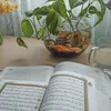 mlak_mlik