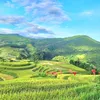 duyphongtdp