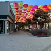 floraisoncharli