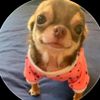 herni_martinez123