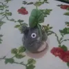 lapin0707