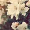 annavb03