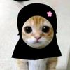 helloaini_09