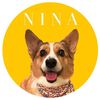 corgimomclaire