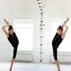 di_lapshova