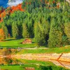karzan_karmand