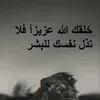 amyr7294