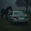 Ymonka_1