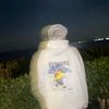 mano_2711