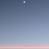 wann_9669