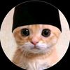 kucingbumi_
