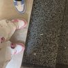 f._.as2