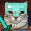 snfor_69