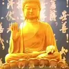 handpham7