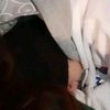 elbisioso36
