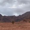 ahmedalrashidi18