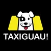 taxiguau_2013