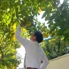 hoang_thinh_1349