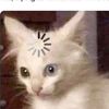 xuriiii1