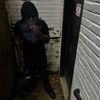 tiez.marquis