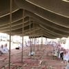 majed_183