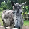 kerstin7719