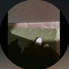 _mohtarma_01