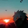 dejvid19