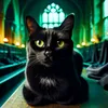 connorthelittlecat