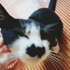 trang_mo_526012