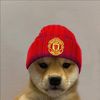 finn_uk4
