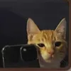 _its.ty0_