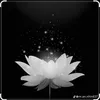 manhhung146