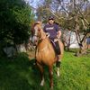 .alberttcg