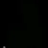 marroni_silvaa