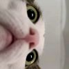 mya_k.j