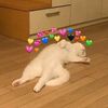 rhf__ao