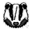 badgergamer334