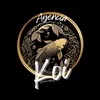 agenciakoi1