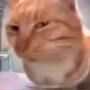 ewwhoyouare