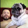 zicodopai